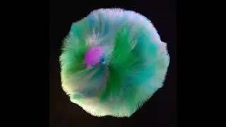 3D Fur Animation in Blender using Hair Particles System.