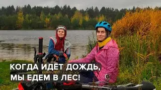 Когда идёт дождь, мы едем в лес!