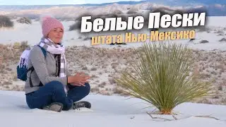Нью-Мексико. Национальный парк 