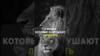 Избавьтесь от этих 5 вещей, чтобы стать сильной личностью #мудрыеслова #психология