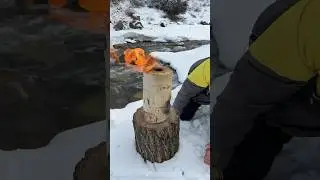 tea in orange🤤