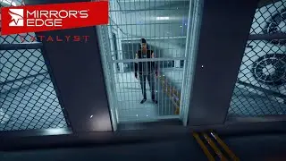 Икар в клетке | Mirror's Edge: Catalyst №6