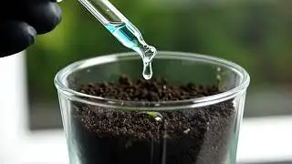 cinematic video of magic liquid that can grow dragonfruit plants 