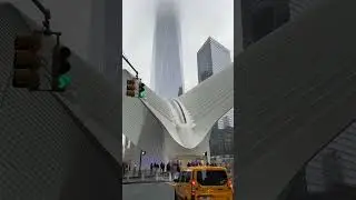 Dear New York 🏙️