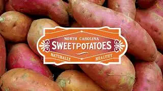 Timelapse Video - Growing Sweetpotato Slips
