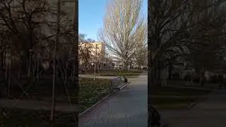 Бердянск, бульвар Шевченко (Гайдара), январь 2023 