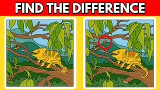 Spot the Difference Game for Kids: Animal Edition | Find 8 Differences