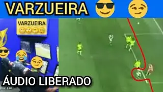 Gol do Vasco anulado contra o Palmeiras. Áudio liberado do VARZUEIRA de  Palmeiras 1 x 0 Vasco