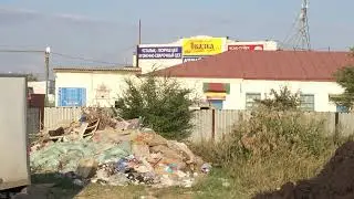 24 августа 2017 г.