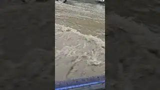 Опять заплыв на ласточке