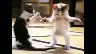 yeni discord sunucmuz açıklamada ve yorumda