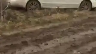 квадрик в деле