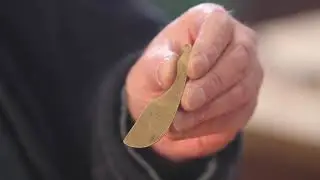 Tsuba School: Hosa Kusa - Recreating a Modern Classic, Part 1- Introduction