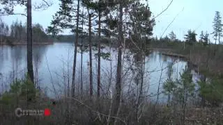 На Заборье, Глубокое и Тоньки
