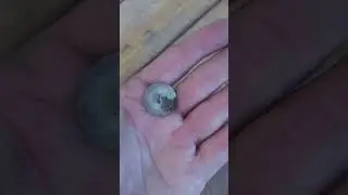 Обзор находок с леса !
