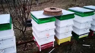 НАСТОЯЩИЙ ПРОВЕРЕННЫЙ ГОРНЫЙ МЁД УЗБЕКОВ