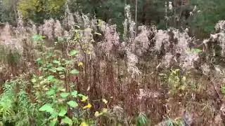 Смешной Случай в походе