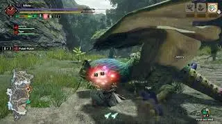 [Monster Hunter Rise] HR5 Pukei-Pukei