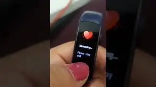 Honor Fitness Band