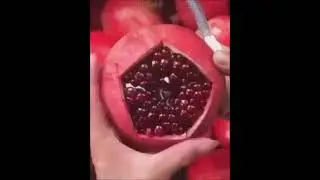 Antiviral granate