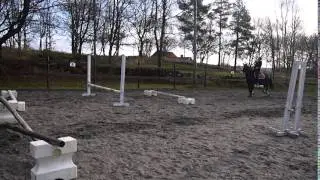 Thopp4