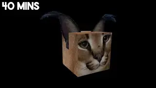 every discord full story videos that existed...