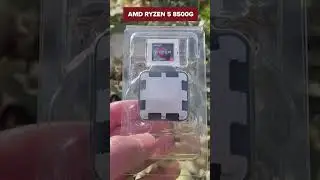 ShortsTOP-6. Best Gaming CPUs under $200 in 2024