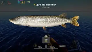 RF4. Архипелаг. Щука