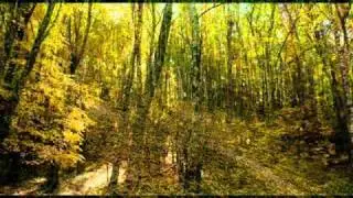 Lawns - Carla Bley