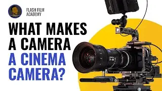 THE REAL Difference Between Cinema and DSLR Cameras for Pros