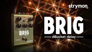 Strymon Brig dBucket Delay