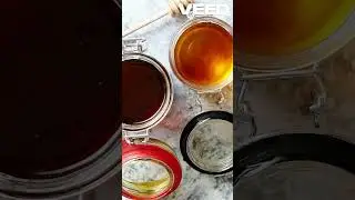 Why Honey Never Spoils  Ancient Mystery