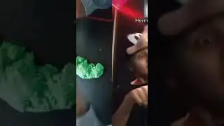 tiktok Ima6us