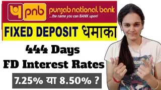PNB 444 Days FD Interest Rate 2024 | Punjab National Bank 444Days Fd Interest Rate