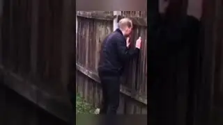 Зачем мне солнце Монако) Мужик подсматривает за гориллами🦍