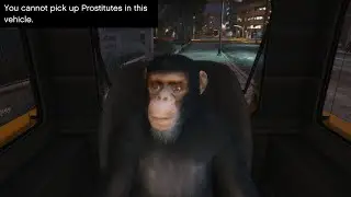 Don't tell me what to do Rockstar
