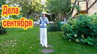 Важные дела сентября