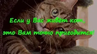 ЕСЛИ У ВАС ЖИВЕТ КОТ, это Вам точно пригодится!  Useful gadgets for cats