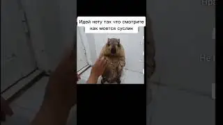 идей нема