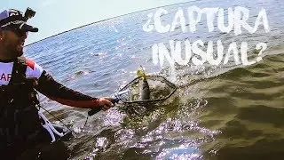 EBRO DELTA: SPINNING PARADISE? [Lured Trip] | Vlog 109¹