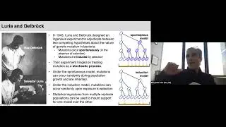 Ben Kerr: Genes on the move: Measuring the rate and evolution of horizontal gene transfer