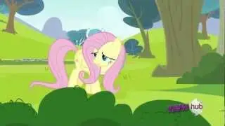 Fluttershy - I'm sorry, Rainbow Dash, I just can't do it!