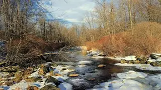 Small river, forest sounds, sleep sounds, ambient sound, relaxing sounds.