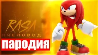 😻😼 ПЕСНЯ и КЛИП про НАКЛЗА l ЁЖИК СОНИК l RASA - ПЧЕЛОВОД ПАРОДИЯ