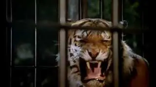 Vampire Circus (1972) - Theatrical Trailer