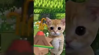 Lamento boliviano versión gato #shorts #minecraft