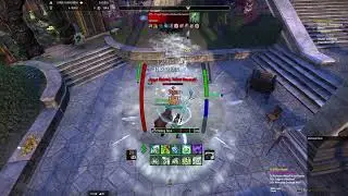 Magicka Warden Solo Build - 54k DPS (Regular setup)