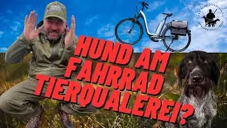 Hund am Fahrrad-Tierquälerei? Ein Profi klärt auf