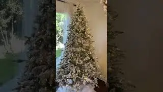 @KingOfChristmas_  https://shrsl.com/3qyxk