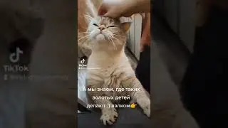 Характер шотландца :)